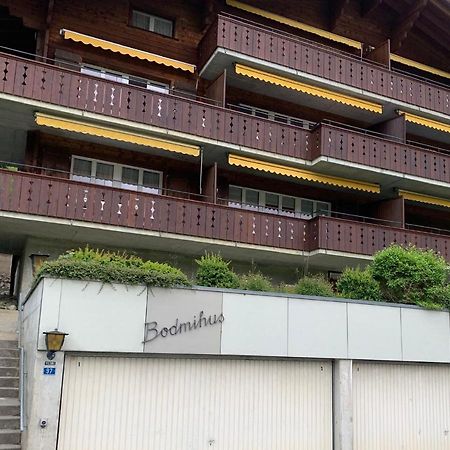 Luxury, New - Amazing Views Grindelwald Eiger Jungfrau Moench Lejlighed Eksteriør billede