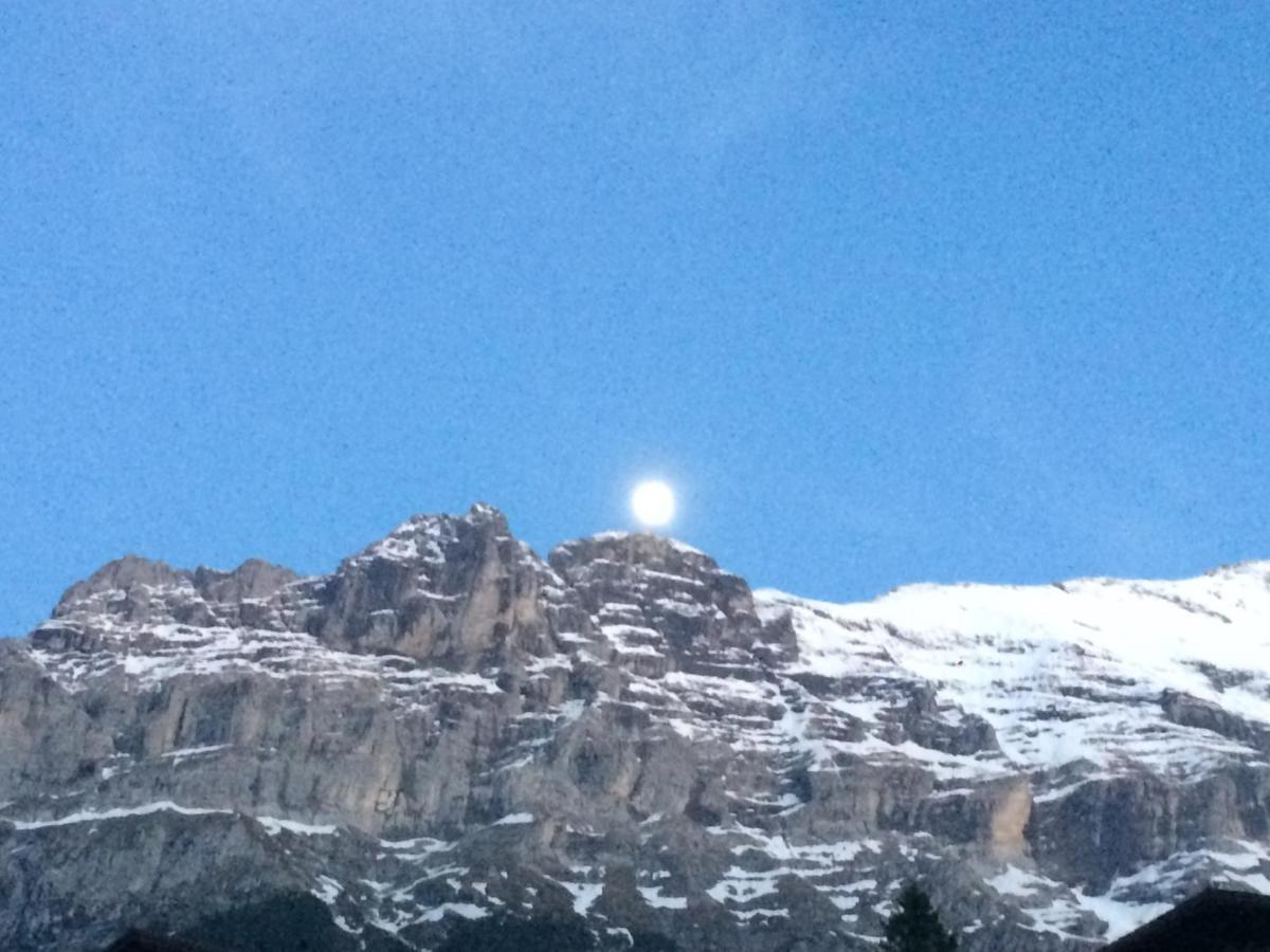 Luxury, New - Amazing Views Grindelwald Eiger Jungfrau Moench Lejlighed Eksteriør billede