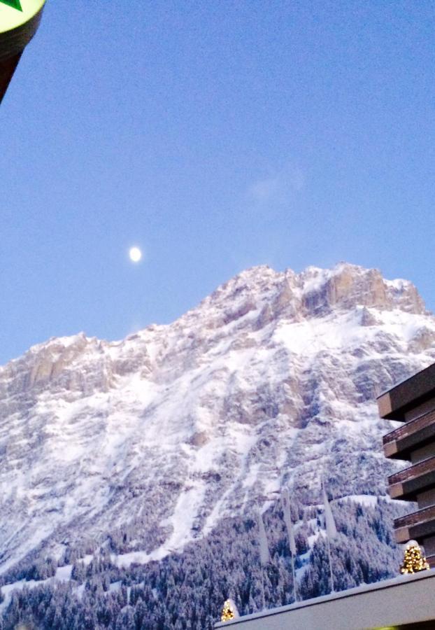 Luxury, New - Amazing Views Grindelwald Eiger Jungfrau Moench Lejlighed Eksteriør billede
