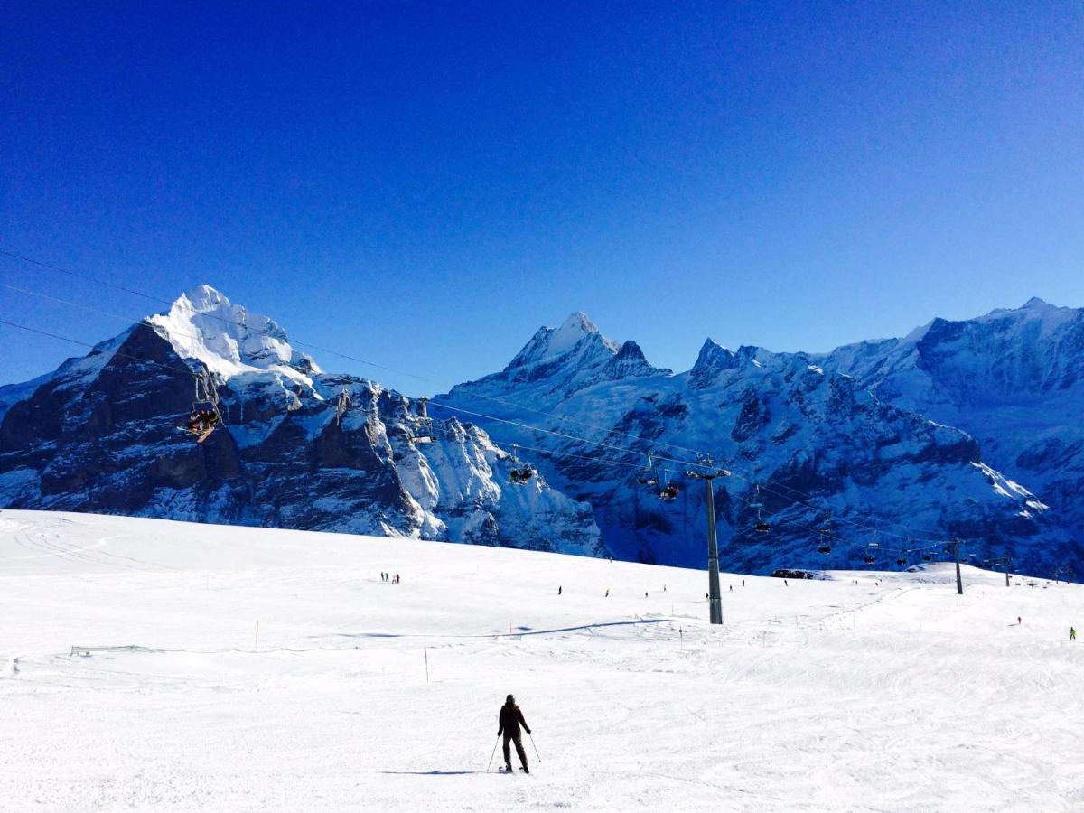 Luxury, New - Amazing Views Grindelwald Eiger Jungfrau Moench Lejlighed Eksteriør billede
