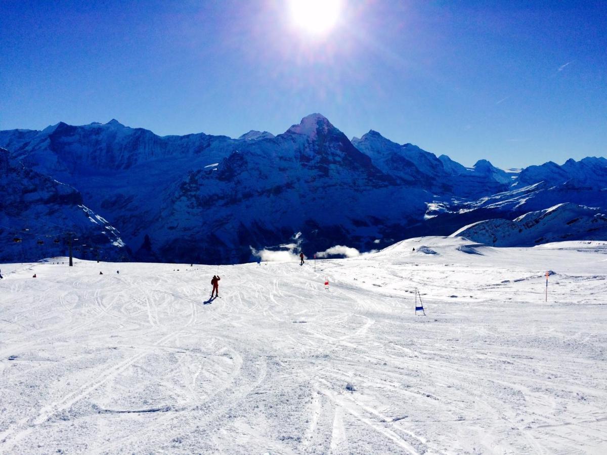 Luxury, New - Amazing Views Grindelwald Eiger Jungfrau Moench Lejlighed Eksteriør billede