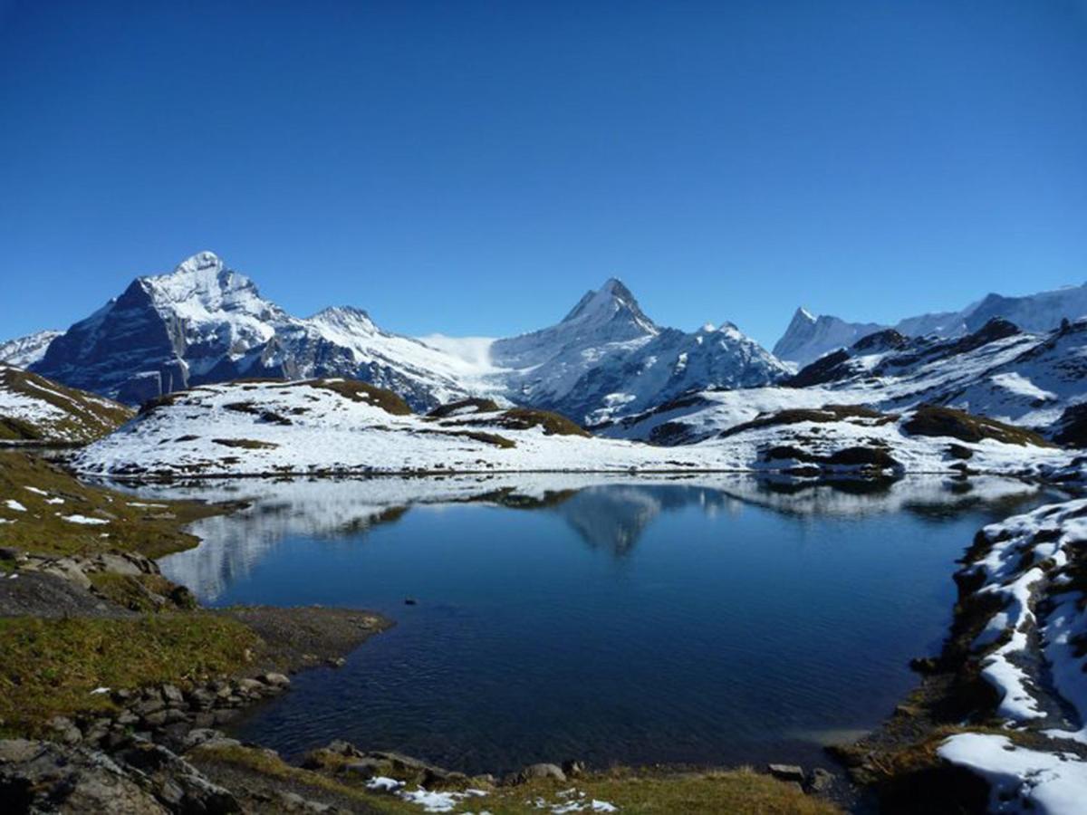 Luxury, New - Amazing Views Grindelwald Eiger Jungfrau Moench Lejlighed Eksteriør billede
