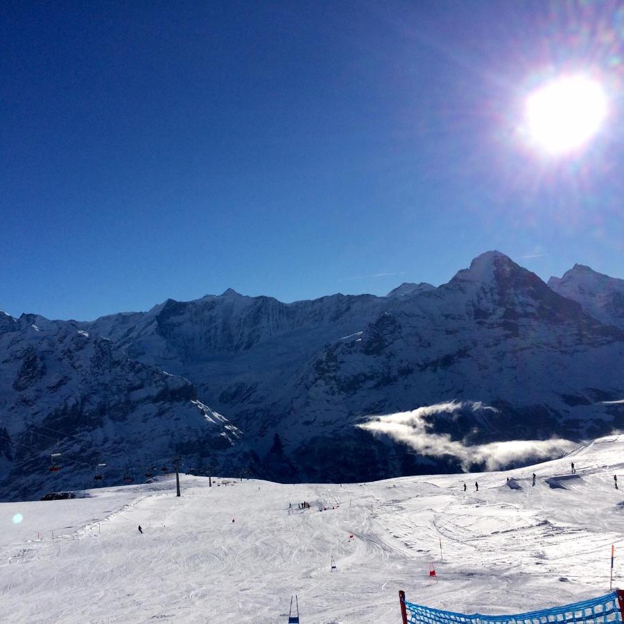 Luxury, New - Amazing Views Grindelwald Eiger Jungfrau Moench Lejlighed Eksteriør billede
