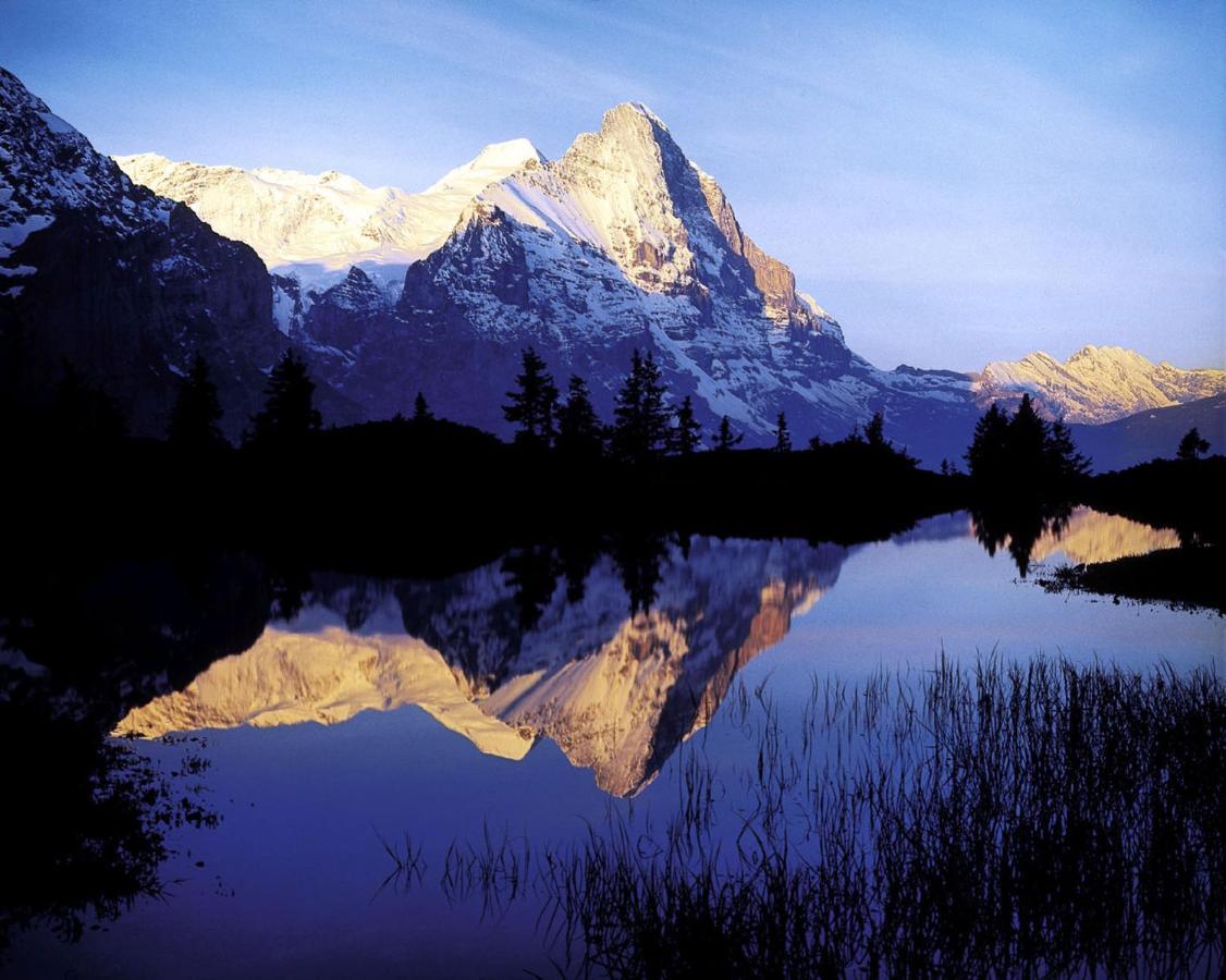 Luxury, New - Amazing Views Grindelwald Eiger Jungfrau Moench Lejlighed Eksteriør billede